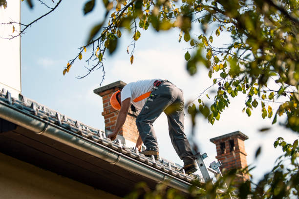 Best Storm Damage Roof Repair  in La Luz, NM