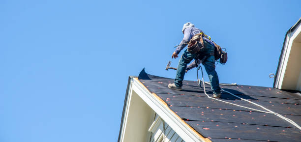 Best Roof Leak Repair  in La Luz, NM